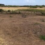 Météo 2020 : une année chaude et sèche en Guadeloupe