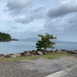 Tempête Bret : retour au vert en Martinique