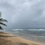 Le réchauffement du climat est-il la cause de la précocité de la tempête tropicale Bret ?