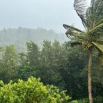 La Martinique au cœur de la saison cyclonique actuellement : quelle conduite tenir ?
