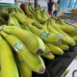 Les producteurs de bananes de Guadeloupe et Martinique s'estiment en grande difficulté financière