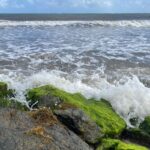 La Martinique en vigilance jaune pour vagues-submersion